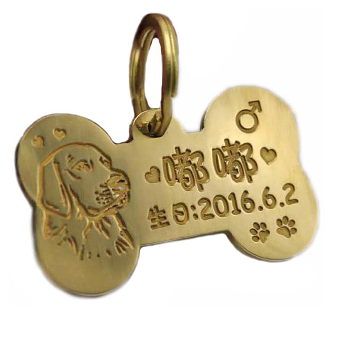 Custom Brass Dog ID Tag Personalized Engraved Pet Name Pendant