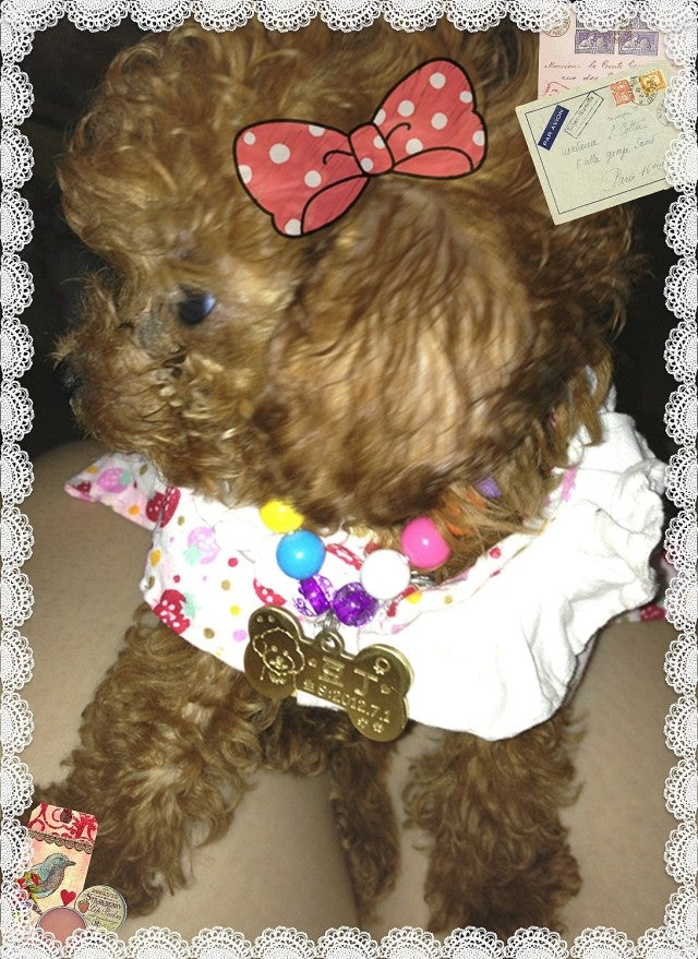 Custom Brass Dog ID Tag | Personalized Pet Name Tag