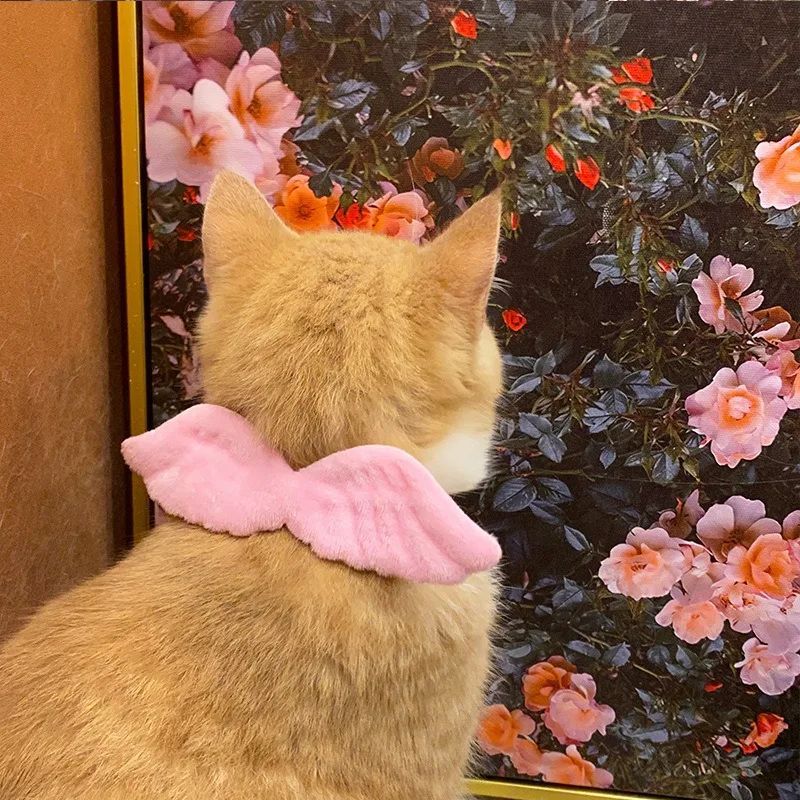 Cat Angel Wing Collar Cute Costume for Cats Photo & Party Outfit