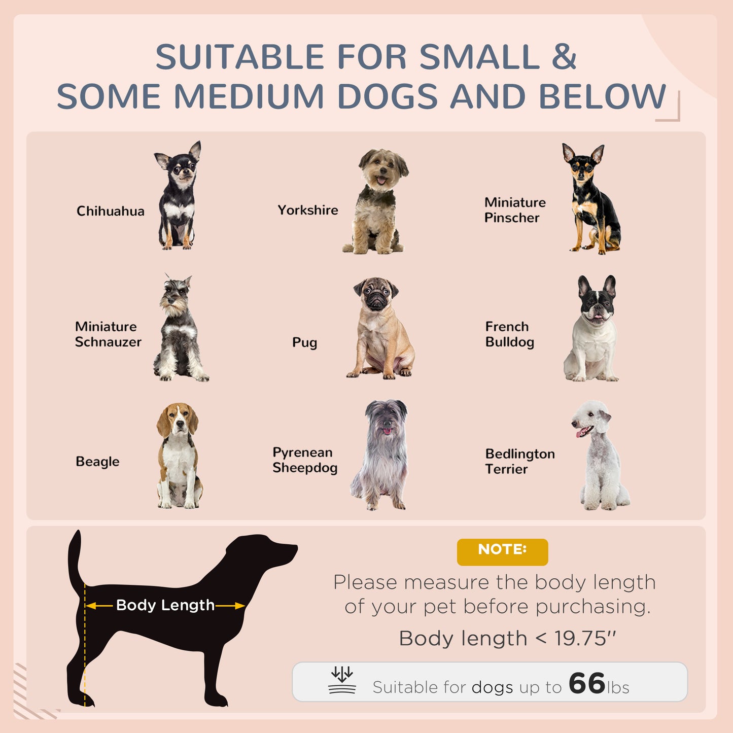 Outdoor Elevated Dog Bed with Canopy – Luxury Rattan Pet Lounge