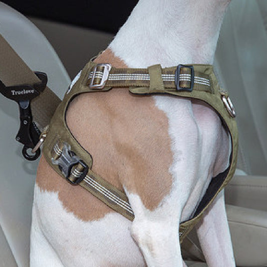 Dog Car Seat Belt for Safe & Comfortable Pet Car Travel UK