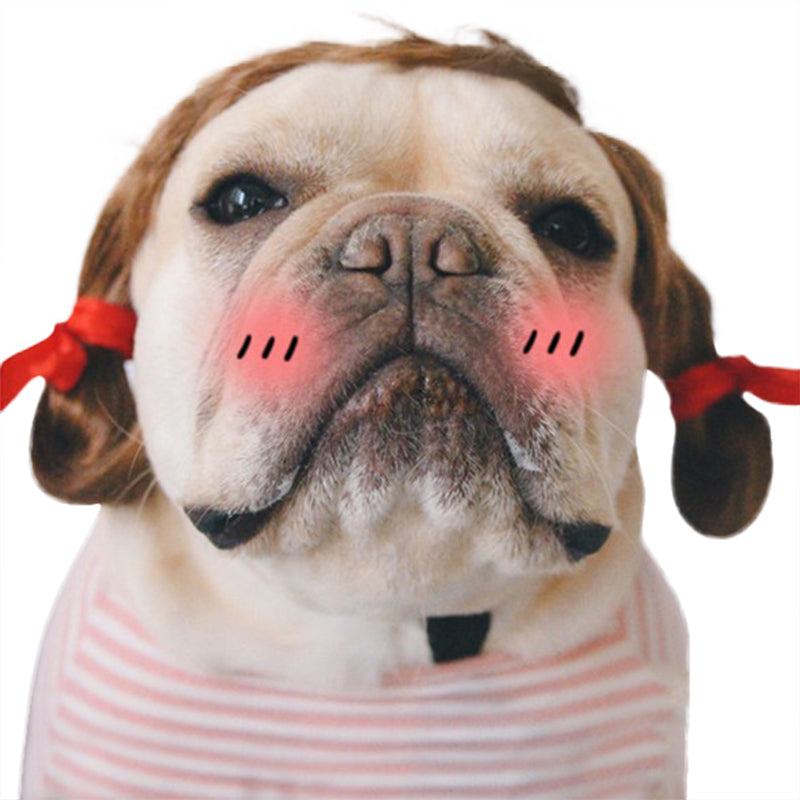 Funny Pet Wig Headgear for Dogs Cute Costume for Photos & Parties