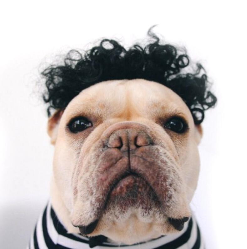 Funny Pet Wig Headgear for Dogs Cute Costume for Photos & Parties