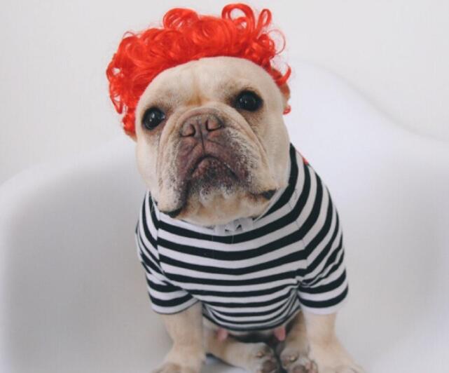 Funny Pet Wig Headgear for Dogs Cute Costume for Photos & Parties